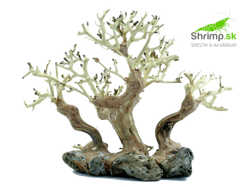 Bonsai Tree 30x16x20 cm