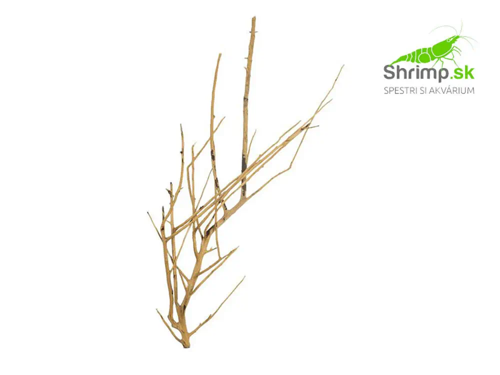 Branch Wood 0,1 kg