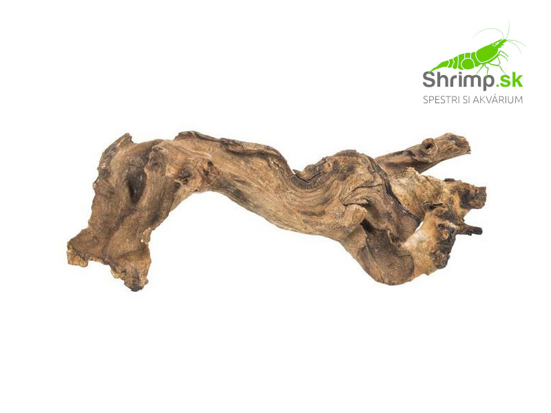 Drift Wood 1 ks (15 - 20 cm)
