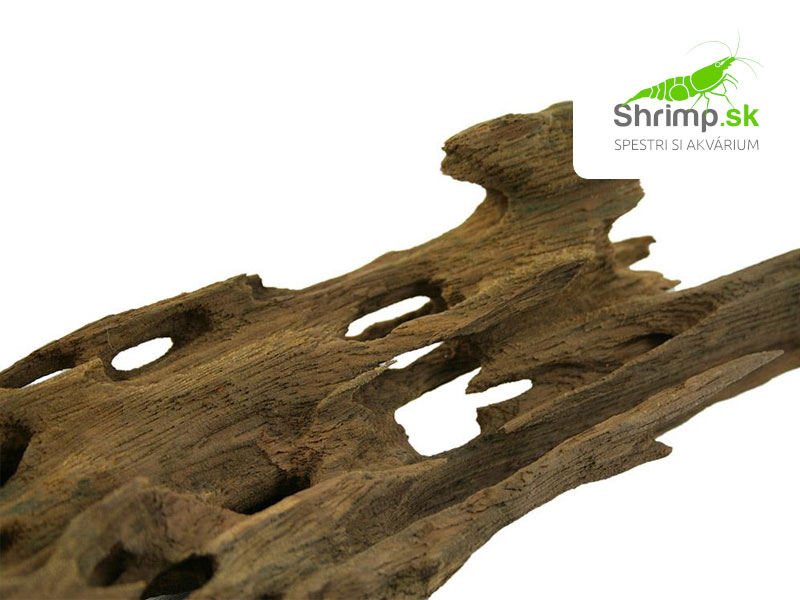 Dragon wood - 1 kg