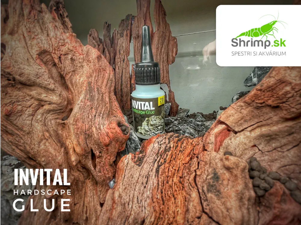 Invital Hardscape Glue 20 g - lepidlo na dekorácie