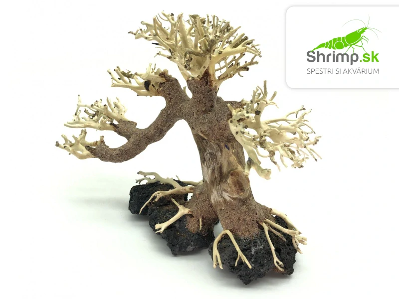 Bonsai Driftwood 20 x 15 x 16 cm (28.)