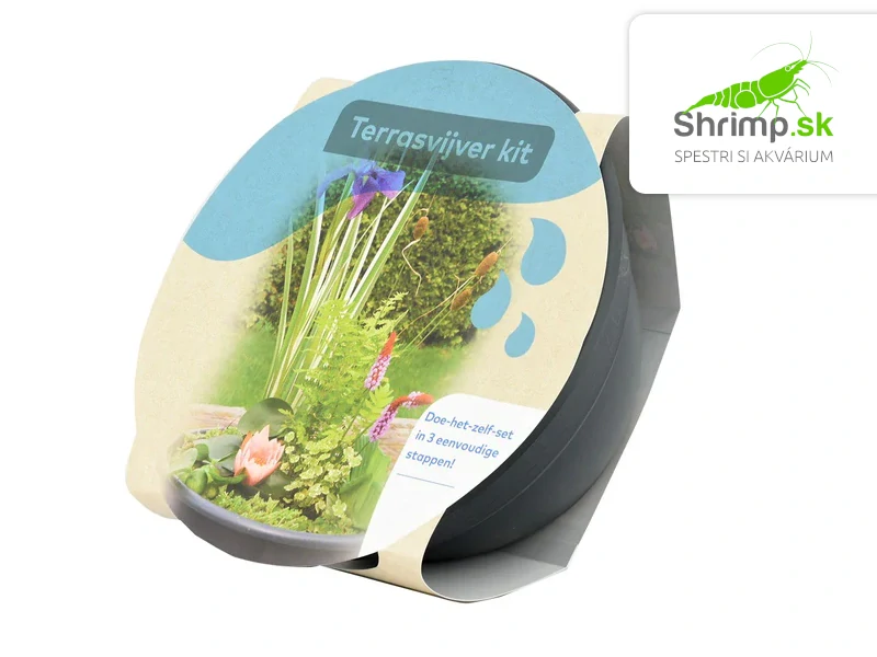 Set vodných rastlín na terasu Ø 40 cm (Pontederia, Acorus, Iris)