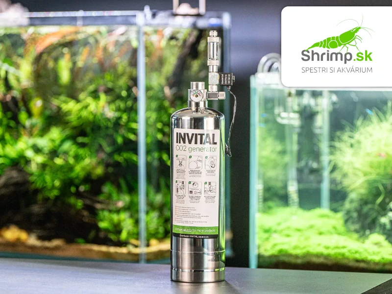 INVITAL CO2 Generator s nočným vypínaním s 2l fľašou