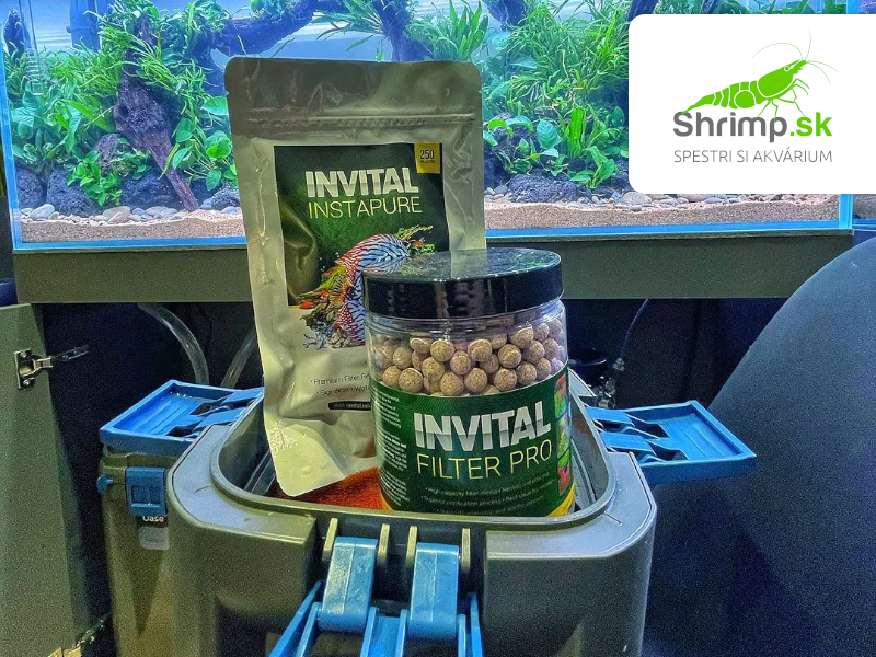 INVITAL Filter PRO 1000ml