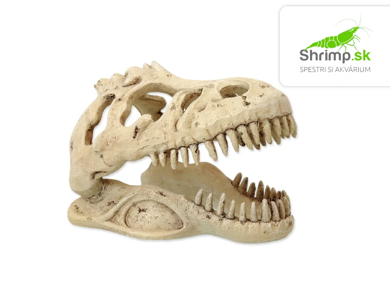 Repti Planet Dekorácia T-REX lebka 13,3×8,5×9 cm