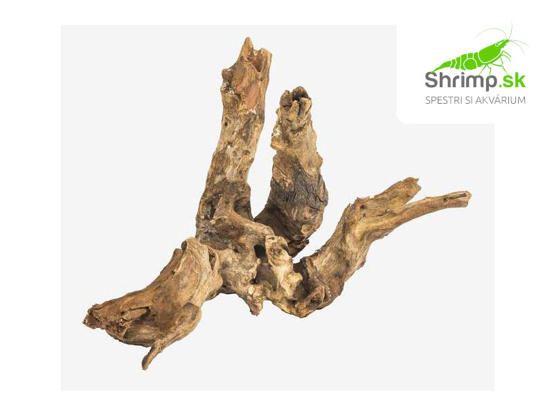 Drift Wood 1 ks (15 - 20 cm)