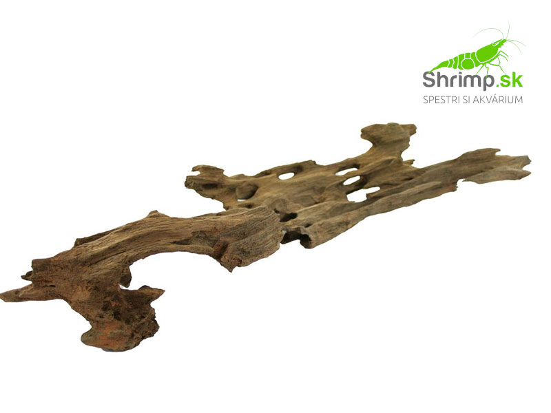 Dragon wood - 1 kg