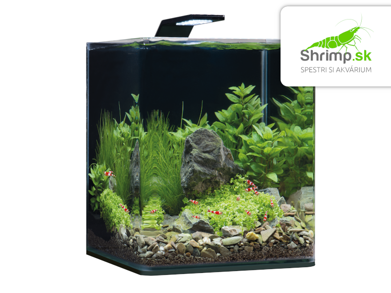 Dennerle NanoCube Basic Style LED 20 l