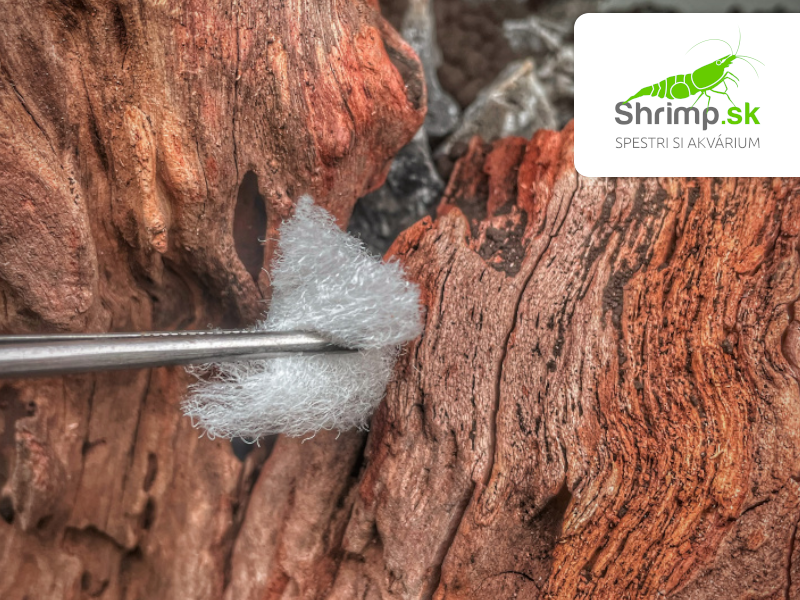 Invital Hardscape Glue 20 g - lepidlo na dekorácie