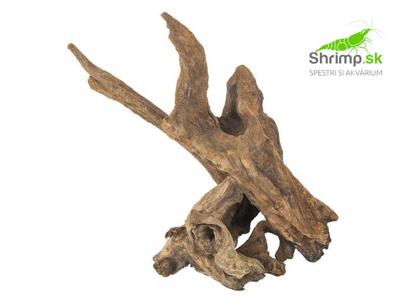Drift Wood 1 ks (15 - 20 cm)