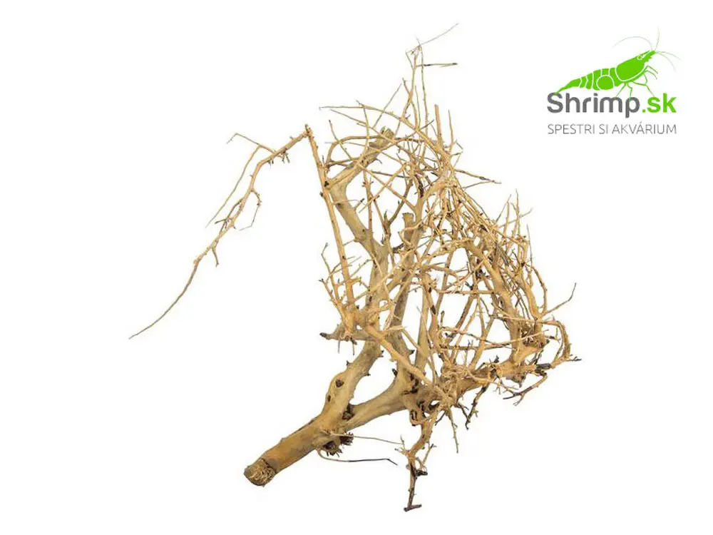 Branch Wood 0,1 kg