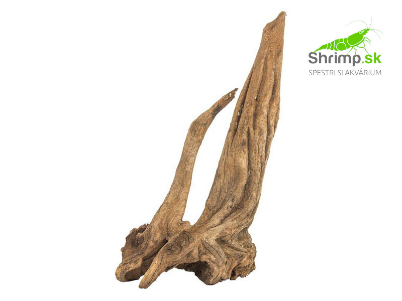 Drift Wood 1 ks (15 - 20 cm)