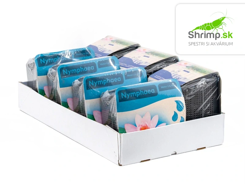Nymphaea ‘Marliacea Carnea’ – blister 18 cm