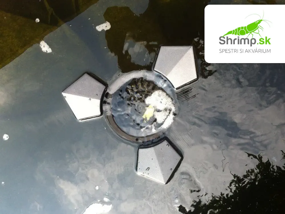 Jazierkový skimmer SCL-3500 4200 l/h