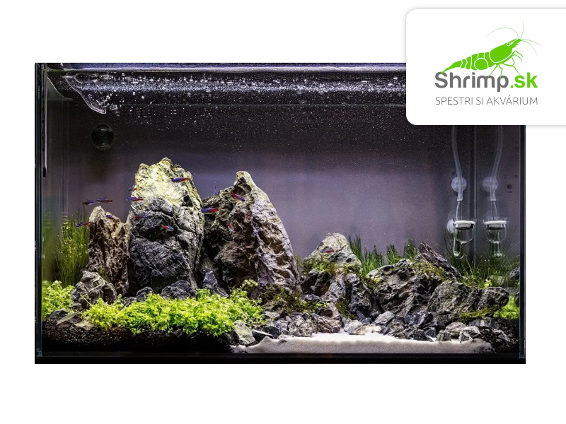 Rataj Volcano Black 8 l