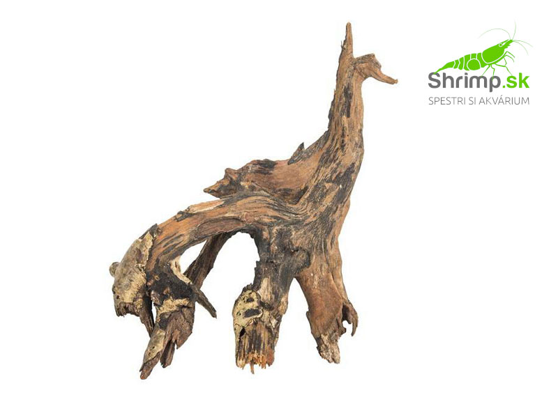 Drift Wood 1 ks (15 - 20 cm)
