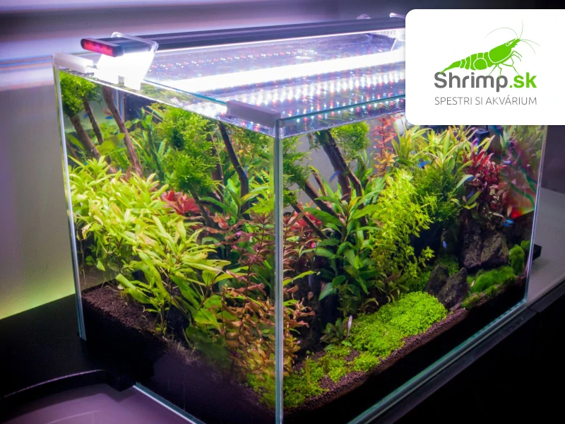 Sinkor LED II 30 cm WRB 10W s Wifi LED Control