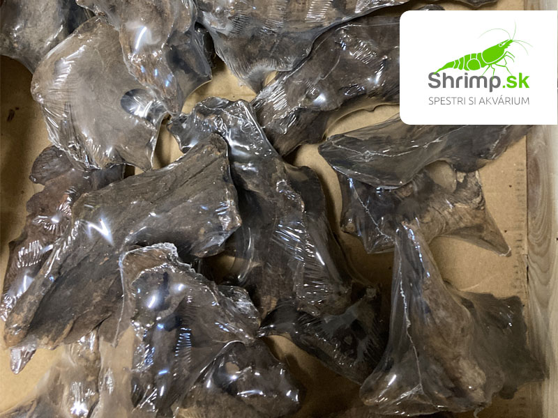 Drift Wood 1 ks (15 - 20 cm)