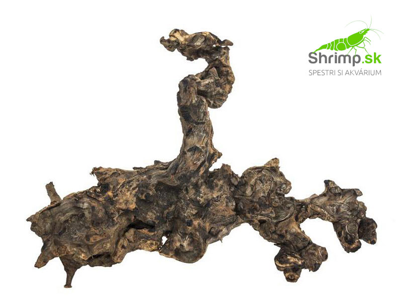 Plant wood - 1 kg