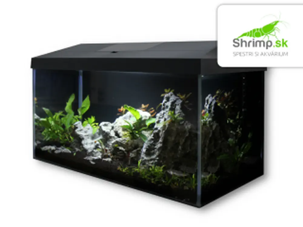 Kompletná akváriová sada 54 l Black Scenery