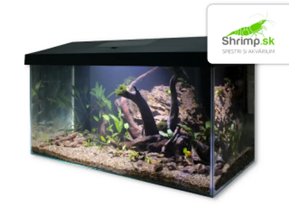 Kompletná akváriová sada 54 l Black Dragon