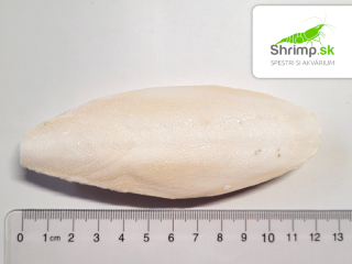 Sépiová kosť 10 cm 1 ks