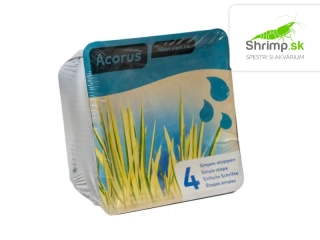 Acorus calamus – blister 18 cm