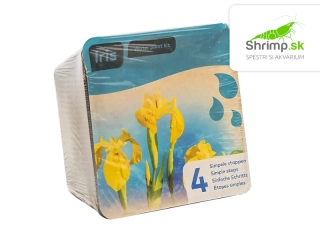 Iris pseudacorus – blister 18 cm