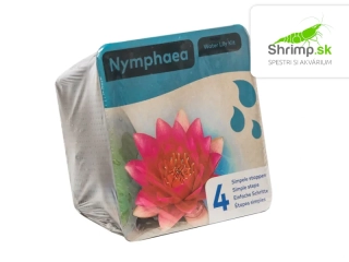 Nymphaea ‘Attraction’ – blister 18 cm