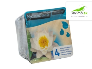 Nymphaea alba – blister 18 cm