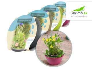 Set vodných rastlín na terasu Ø 40 cm (Pontederia, Acorus, Iris)