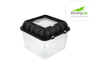 Repti Planet Chovný box 20,5x20,5x17 cm