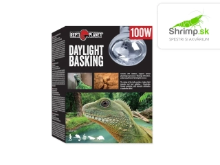 Repti Planet Žiarovka Daylight Basking Spot 100W