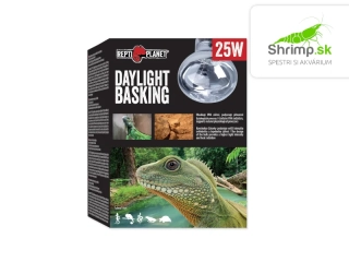 Repti Planet Žiarovka Daylight Basking Spot 25W