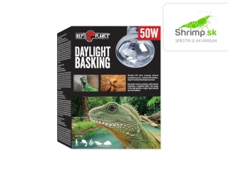 Repti Planet Žiarovka Daylight Basking Spot 50W