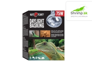 Repti Planet Žiarovka Daylight Basking Spot 75W