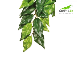 Exo Terra Rastlina Ficus malá 45 cm 