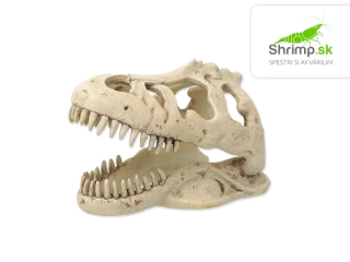 Repti Planet Dekorácia T-REX lebka 13,3×8,5×9 cm