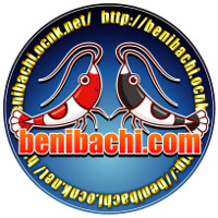 benibachi