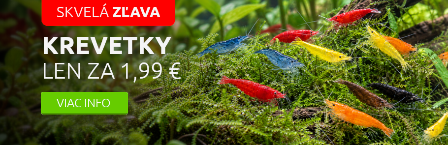 10 druhov kreviet len za 1,99€