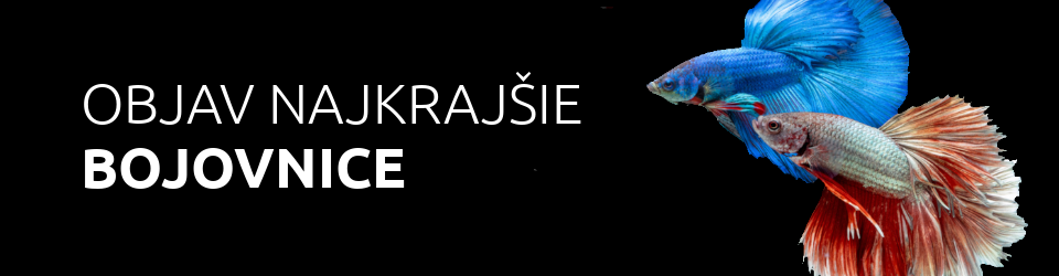 Objav najkrajšie bojovnice