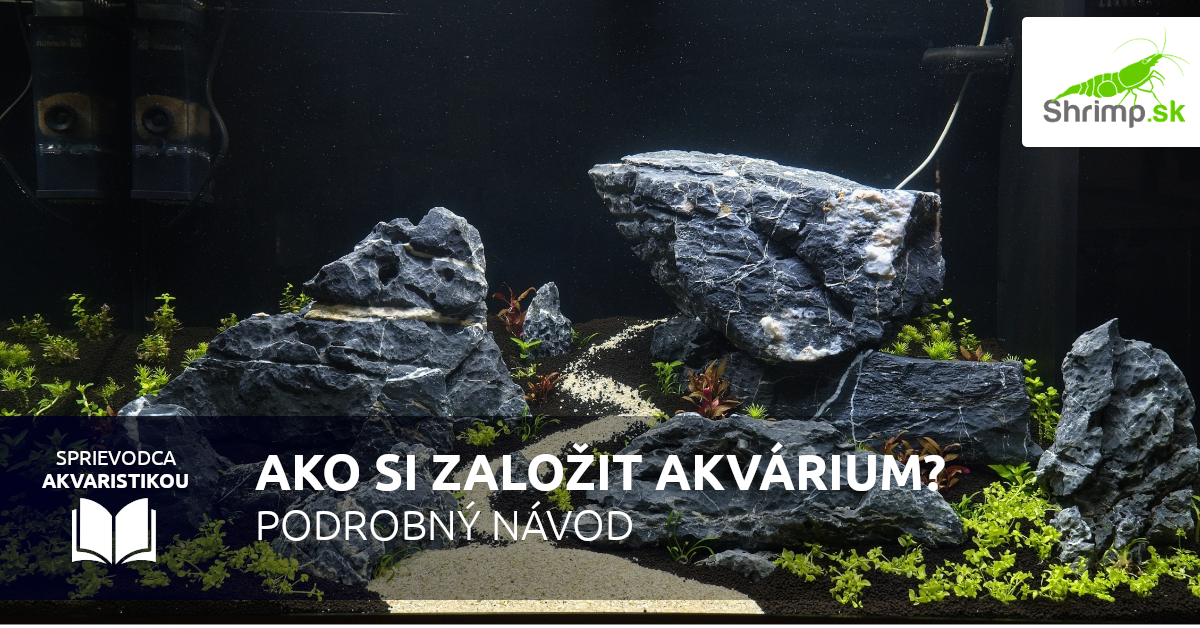 Ako si založiť akvárium