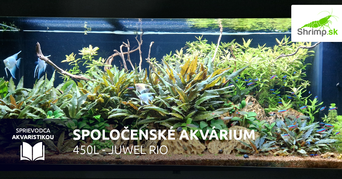 Spoločenské akvárium 450 l