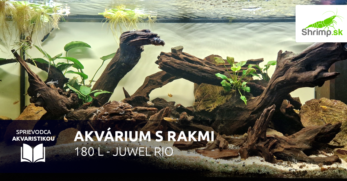 Akvárium s rakmi Cherax Pulcher