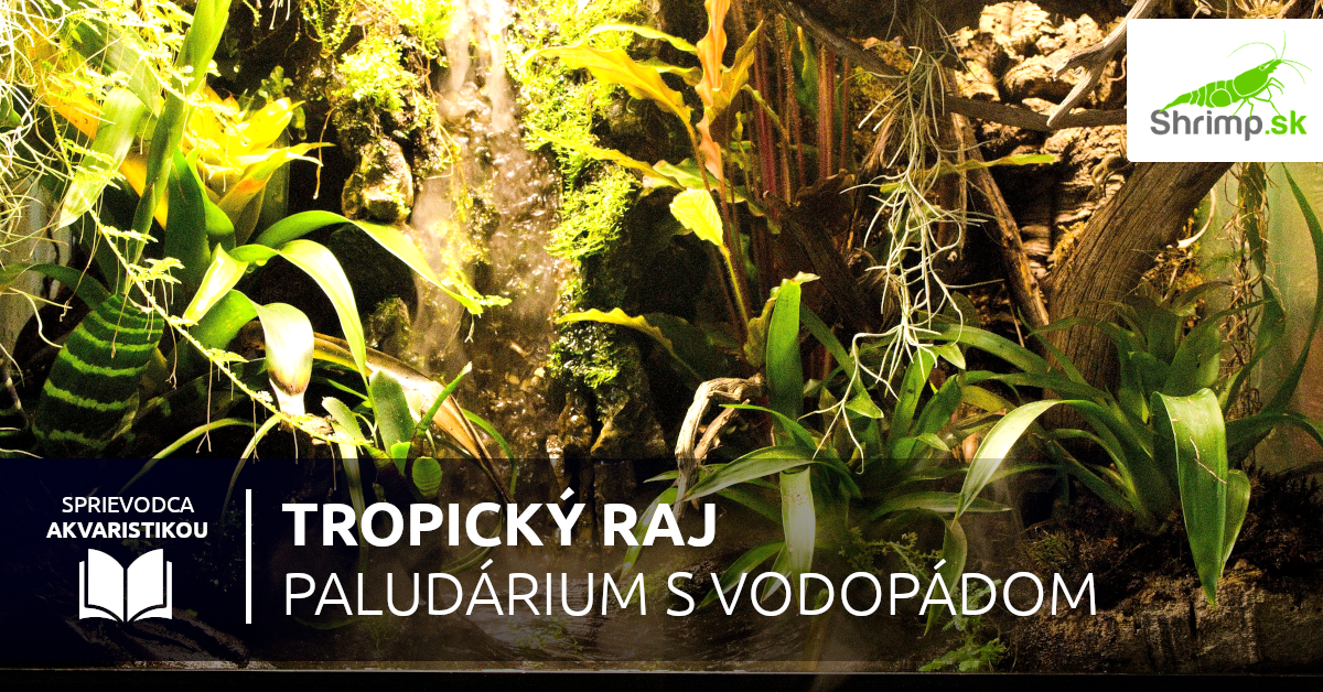 Paludárium s vodopádom
