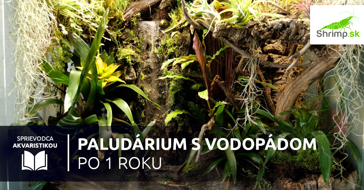 Paludárium s krabmi a vodopádom
