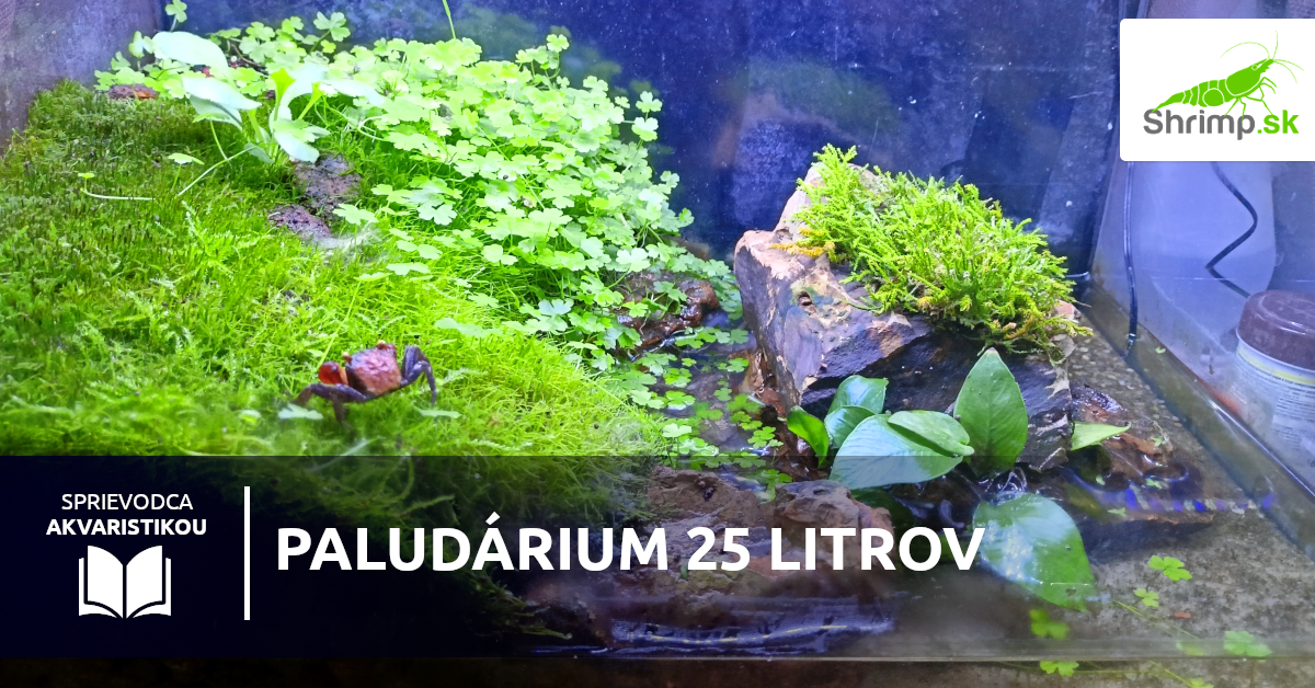 Paludárium s krabmi
