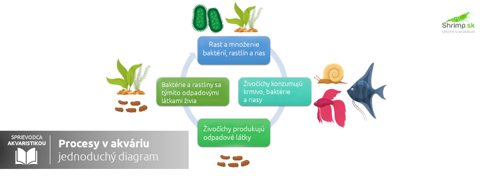 Diagram procesy v akváriu