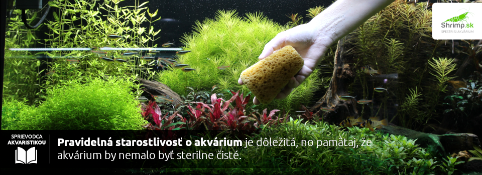Starostlivosť o akvárium